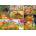 Bluebird Puzzle - Puzzle The Colours of Autumn - 1 000 piese