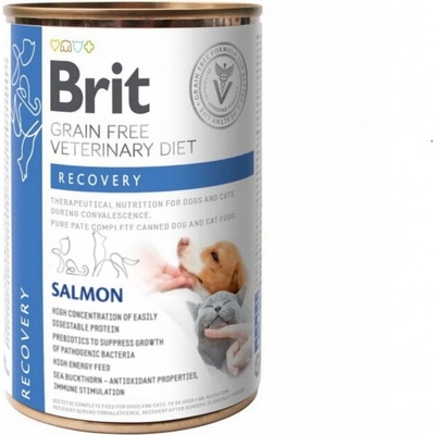Brit Veterinary Diets GF Dog Recovery 400 g