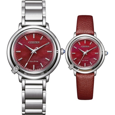 Citizen EM1090-78X