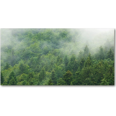 Fotoobraz na skle tajomný les 100x50 cm