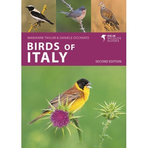 Birds of Italy | Daniele Occhiato, Marianne Taylor (2024)