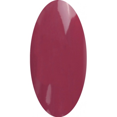 Laif Barevný Led Uv gel PT 105 hnědý 6 ml