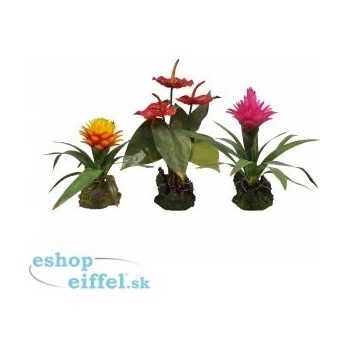 Lucky Reptile Jungle Plants Závesná orchidea biela 20x30 cm