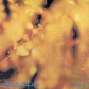Reflection - Steamhammer CD