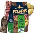 Polaris GF pes Puppy Large jehně, losos 2,5 kg