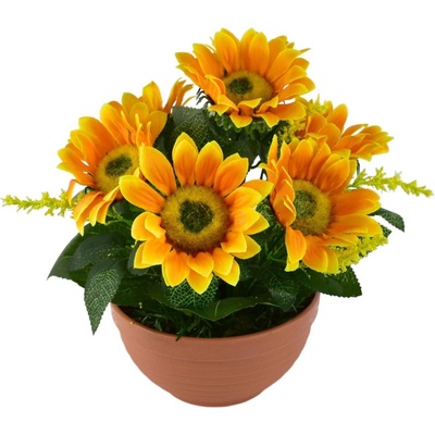 Sluněčníce 7 květů v terakotové misce Ø24/26 cm
