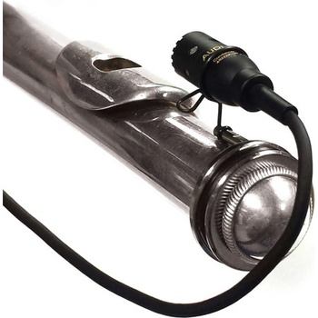 AUDIX ADX10-FLP