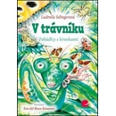 V trávníku