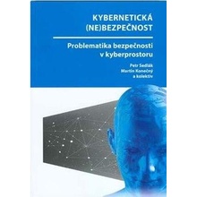 Kybernetická nebezpečnost. Problematika bezpečnosti v kyberprostoru - Petr Sedlák, Martin Konečný