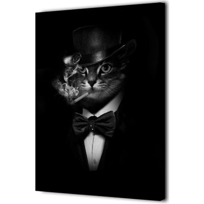 1 dílné obrazy - Švihák kocour Velikost 60 x 80cm