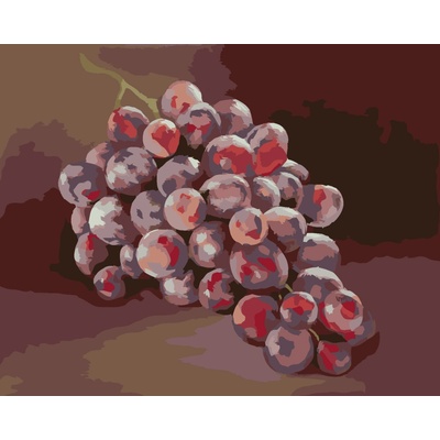 ZUTY Malování podle čísel HROZNY 1 MYROSLAVA VOLOSCHUK Rozměr 80 x 100 cm Rámování bez rámu a bez vypnutí plátna