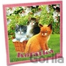 Mikro trading Koťátka