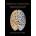 Theoretical Neuroscience