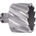 ABSE N-HS-W19-0520025