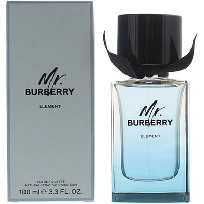 Burberry Mr. Burberry Element toaletní voda pánská 100 ml