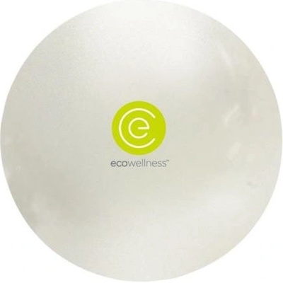 Gymball Eco Wellness 65cm