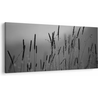Obraz - Steblá trávy, jednodielne 250x125 cm