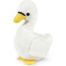 Labuť