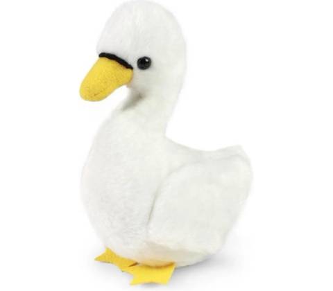 Labuť