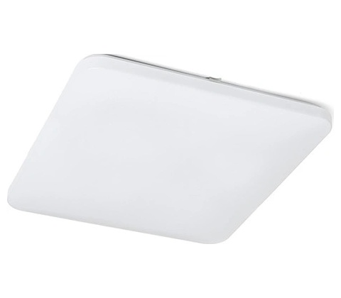 Rendl R12442