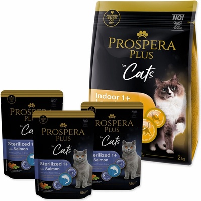 Prospera Plus Indoor 1+ Salmon Long Hair 2 kg