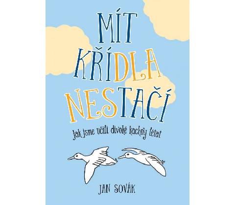 Mít křídla nestačí