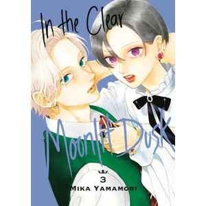 In the Clear Moonlit Dusk 3 (ISBN: 9781646516483)