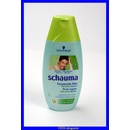 Schauma Intensive proti lupům šampon na vlasy pánský 250 ml