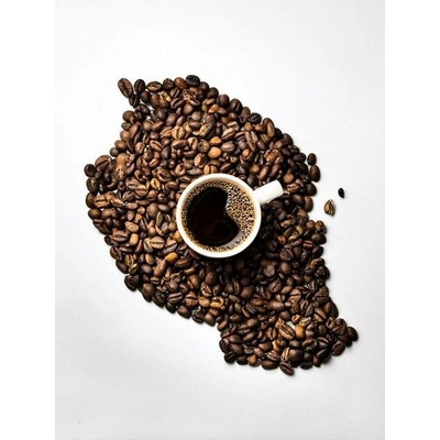 Káva pro Labužníky Tanzania AA 1 kg