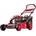 Boxer BX119