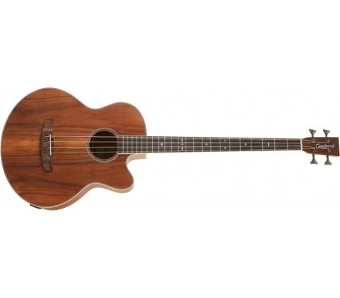 Tanglewood TRU7ABCE AW