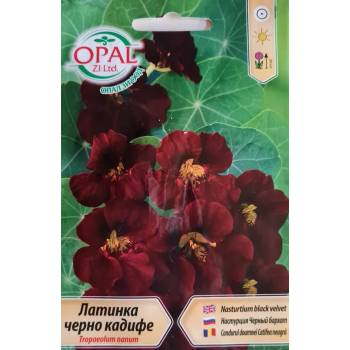 Image 1 of Opal Zi Латинка черно кадифе (ниска)