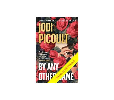 Pod jiným jménem
