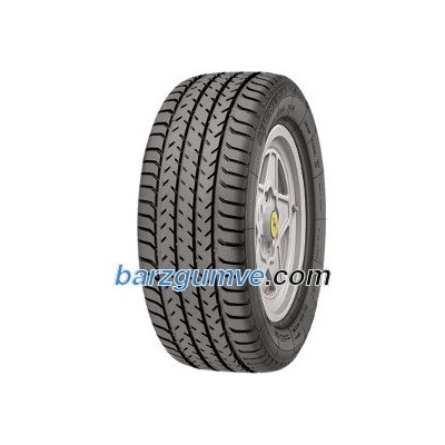 Michelin TRX B ( 220/55 VR390 88W )