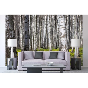 DIMEX ART s. r. o Самозалепваща се флизелинова фототапета брезова горичка v. 375 x 250 см