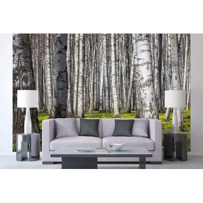 DIMEX ART Самозалепваща се флизелинова фототапета брезова горичка v. 375 x 250 см