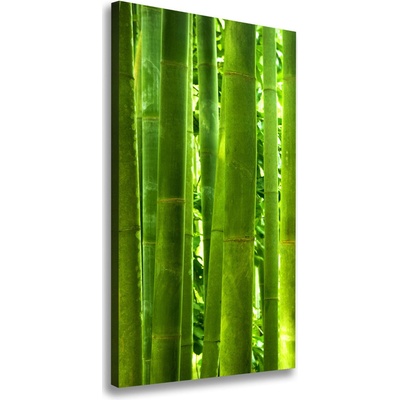 Vertikálny moderný fotoobraz canvas na ráme Bambus 50x100 cm