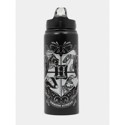 Alltoys Harry Potter 710 ml