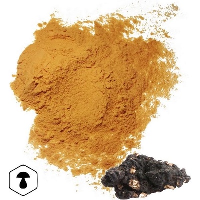 LifeChi Choroš oříš Polyporus umbellatus extrakt v prášku 50 g