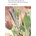 Art at the Intersection of Librarianship and Social Justice | Nina Clements