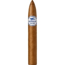 Stanislaw Torpedo