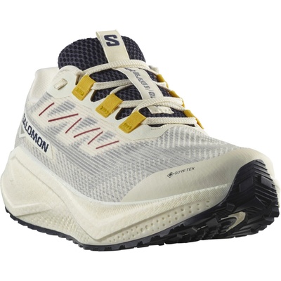 Salomon Bežecké topánky AERO BLAZE 3 GRVL GTX W l47974100