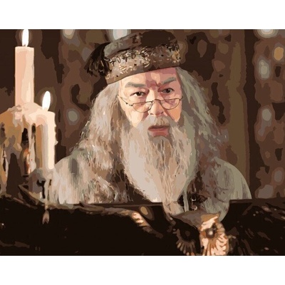 Zuty Рисуване по номера Дъмбълдор на катедрата на бухала (Хари Потър) (M10-050-040-606286)