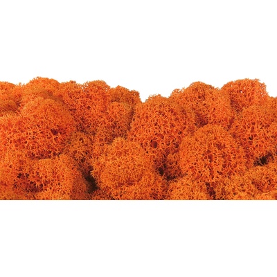 Stabilizovaný mach čistený - Fínsky lišajník - oranžový Váha: 5kg