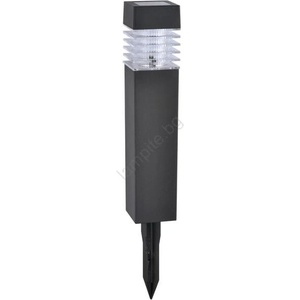 Polux Martin 315588