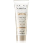ALFAPARF Milano Il Salone Milano Glorious възстановяваща маска за увредена коса 250ml