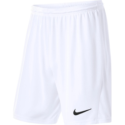 Nike Pánské funkční kraťasy Park bílá