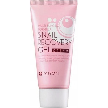 Mizon Multi Function Formula Lightweight Snail Gel Cream Containing 74% of Snail Secretion Filtrate pleťový gél 45 ml