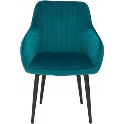 Ainnde Turin tyrkysová samet 2 ks