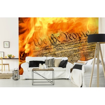 DIMEX ART s. r. o Самозалепваща се флизелинова фототапета конституция на сащ 375 x 250 см